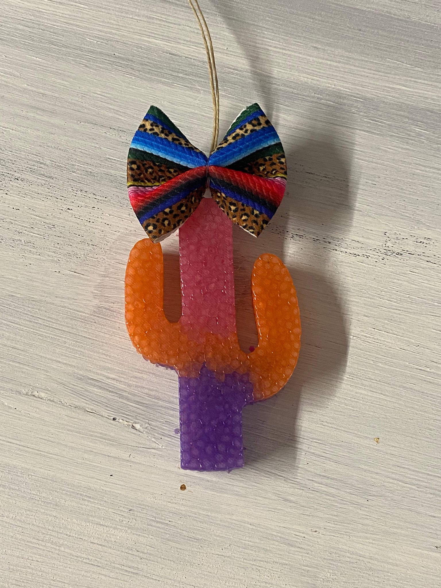 Ombré Cactus Freshie